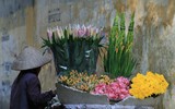 Nét đẹp phụ nữ Việt Nam qua 